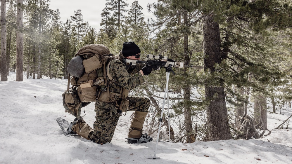 MTX 2-26: Alpha Company, 1st Battalion, 2nd Marine Regiment Patrol