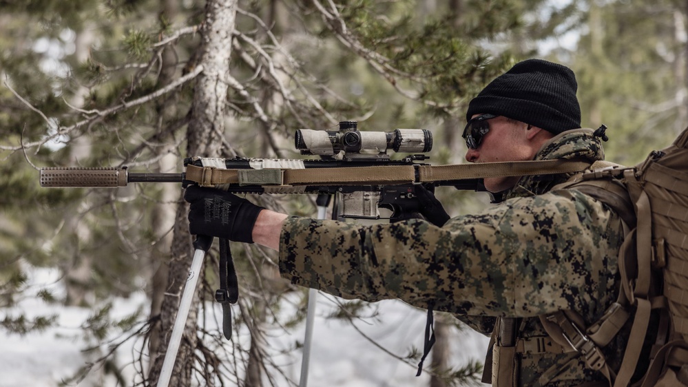 MTX 2-26: Alpha Company, 1st Battalion, 2nd Marine Regiment Patrol