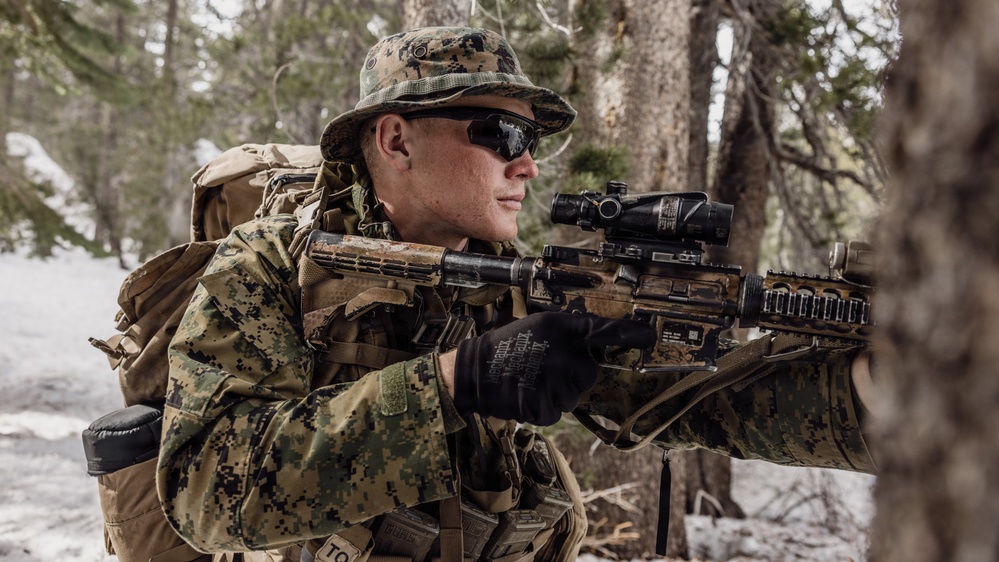 MTX 2-26: Alpha Company, 1st Battalion, 2nd Marine Regiment Patrol