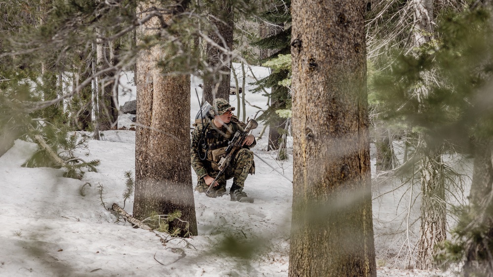 MTX 2-26: Alpha Company, 1st Battalion, 2nd Marine Regiment Patrol