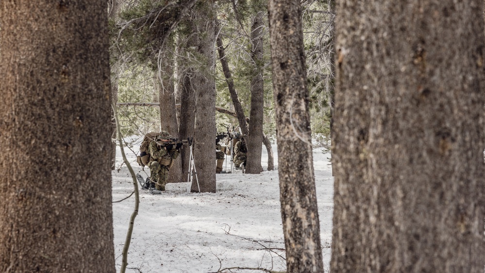 MTX 2-26: Alpha Company, 1st Battalion, 2nd Marine Regiment Patrol