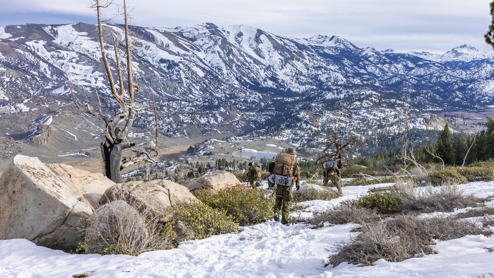 MTX 2-26: Alpha Company, 1st Battalion, 2nd Marine Regiment Patrol