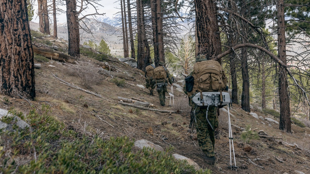 MTX 2-26: Alpha Company, 1st Battalion, 2nd Marine Regiment Patrol