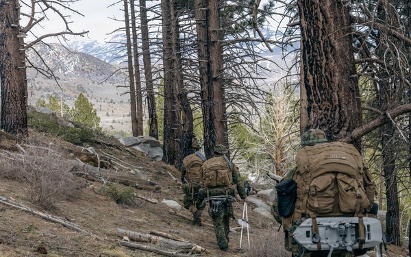 MTX 2-26: Alpha Company, 1st Battalion, 2nd Marine Regiment Patrol