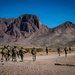 Task Force Seminole soldiers conduct combined arms live-fire exercise at Fort Bliss