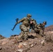 Task Force Seminole soldiers conduct combined arms live-fire exercise at Fort Bliss