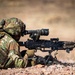 Task Force Seminole soldiers conduct combined arms live-fire exercise at Fort Bliss