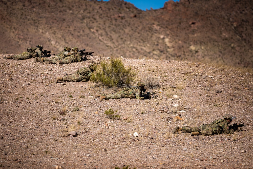 Task Force Seminole soldiers conduct combined arms live-fire exercise at Fort Bliss