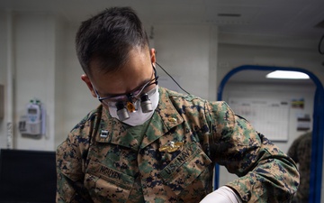 Boxer Dentists Treat Patients