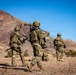 Task Force Seminole soldiers conduct combined arms live-fire exercise at Fort Bliss