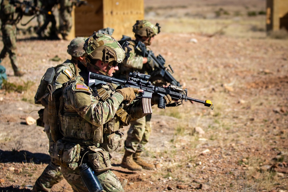 Task Force Seminole soldiers conduct combined arms live-fire exercise at Fort Bliss