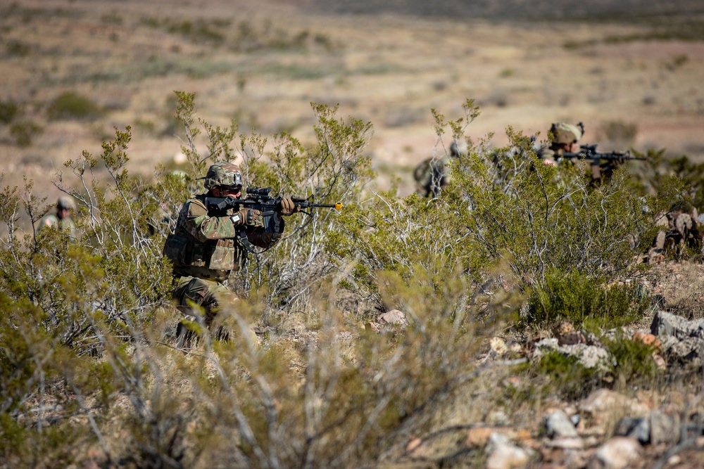 Task Force Seminole soldiers conduct combined arms live-fire exercise at Fort Bliss