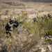 Task Force Seminole soldiers conduct combined arms live-fire exercise at Fort Bliss