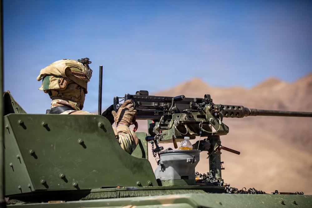 Task Force Seminole soldiers conduct combined arms live-fire exercise at Fort Bliss