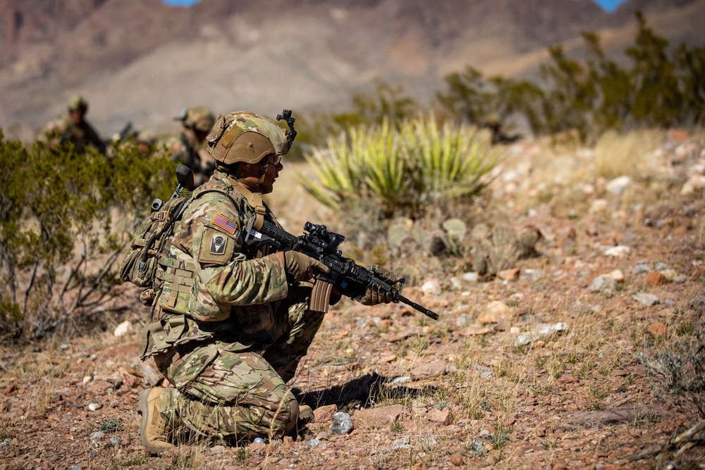 Task Force Seminole soldiers conduct combined arms live-fire exercise at Fort Bliss