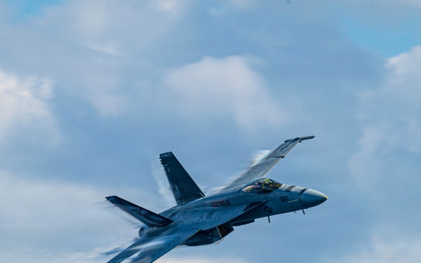 Nimitz Carrier Airwing (CVW 17) Change of Command