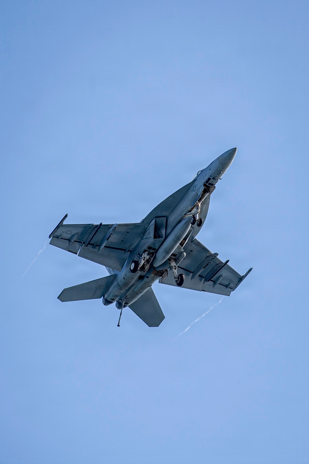 Nimitz Carrier Airwing (CVW 17) Change of Command