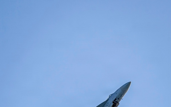 Nimitz Carrier Airwing (CVW 17) Change of Command