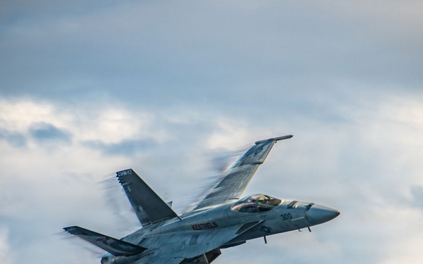 Nimitz Carrier Air Wing 17 (CVW-17) Change of Command