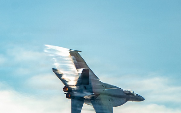 Nimitz Carrier Air Wing 17 (CVW-17) Change of Command