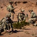 Task Force Seminole soldiers conduct combined arms live-fire exercise at Fort Bliss