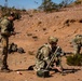 Task Force Seminole soldiers conduct combined arms live-fire exercise at Fort Bliss