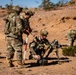 Task Force Seminole soldiers conduct combined arms live-fire exercise at Fort Bliss