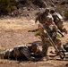 Task Force Seminole soldiers conduct combined arms live-fire exercise at Fort Bliss