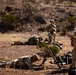 Task Force Seminole soldiers conduct combined arms live-fire exercise at Fort Bliss