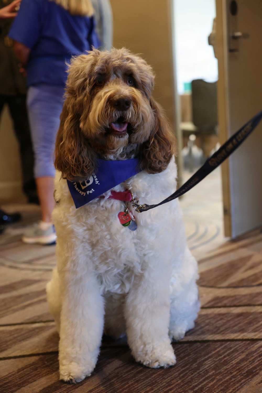 2026 DPAA Family Member Update San Diego