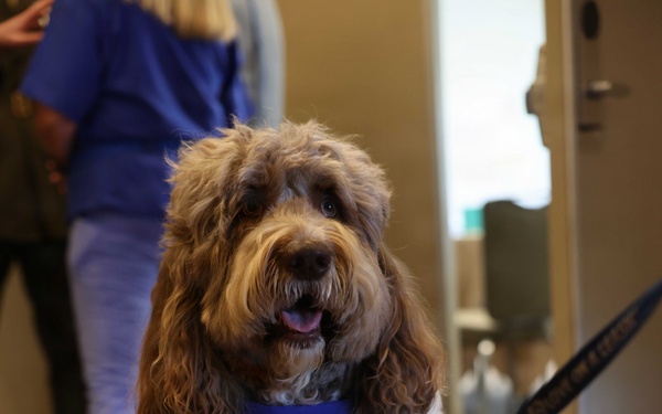 2026 DPAA Family Member Update San Diego