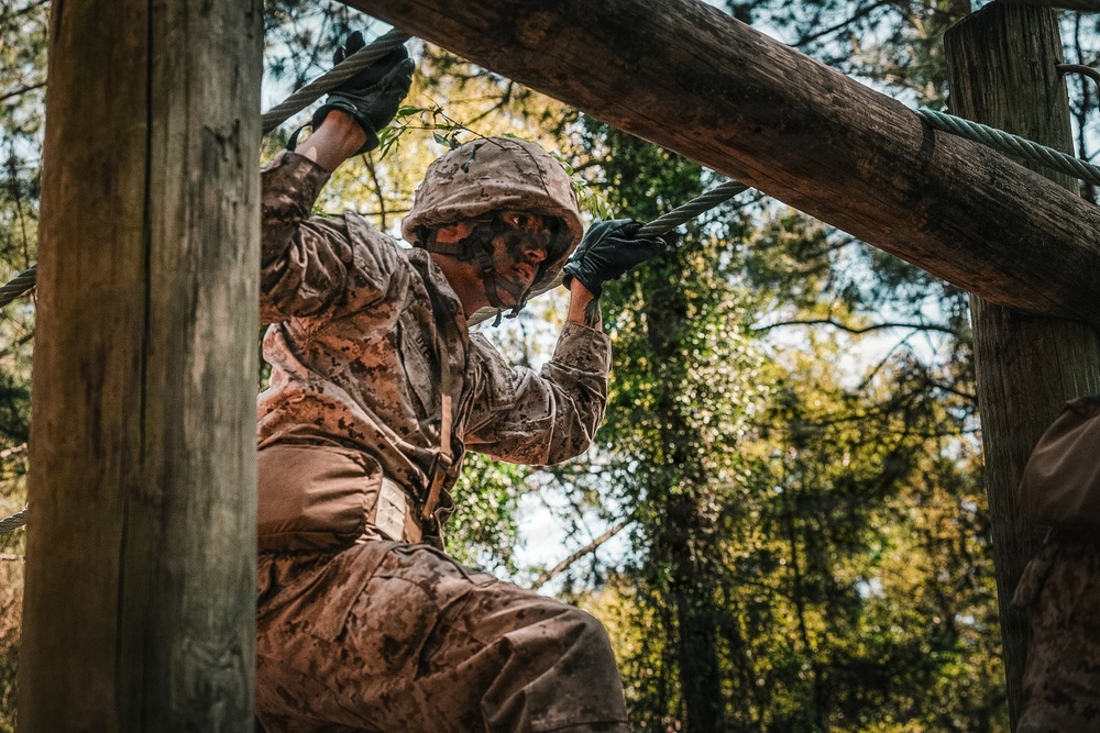 Bravo Company Crucible