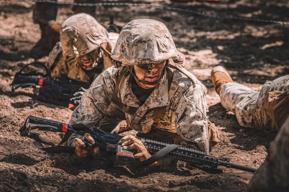 Bravo Company Crucible