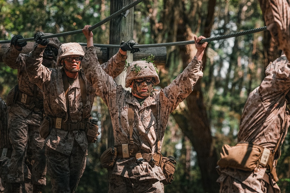 Bravo Company Crucible