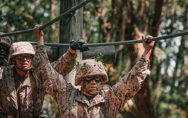 Bravo Company Crucible