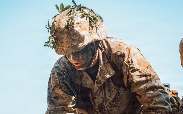 Bravo Company Crucible