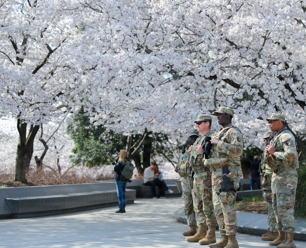 JTF-DC Patrol Martin Luther King  Jr. Memorial
