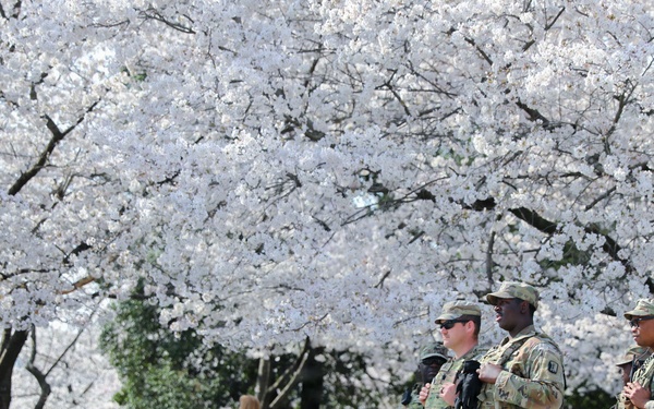 JTF-DC Patrol Martin Luther King  Jr. Memorial