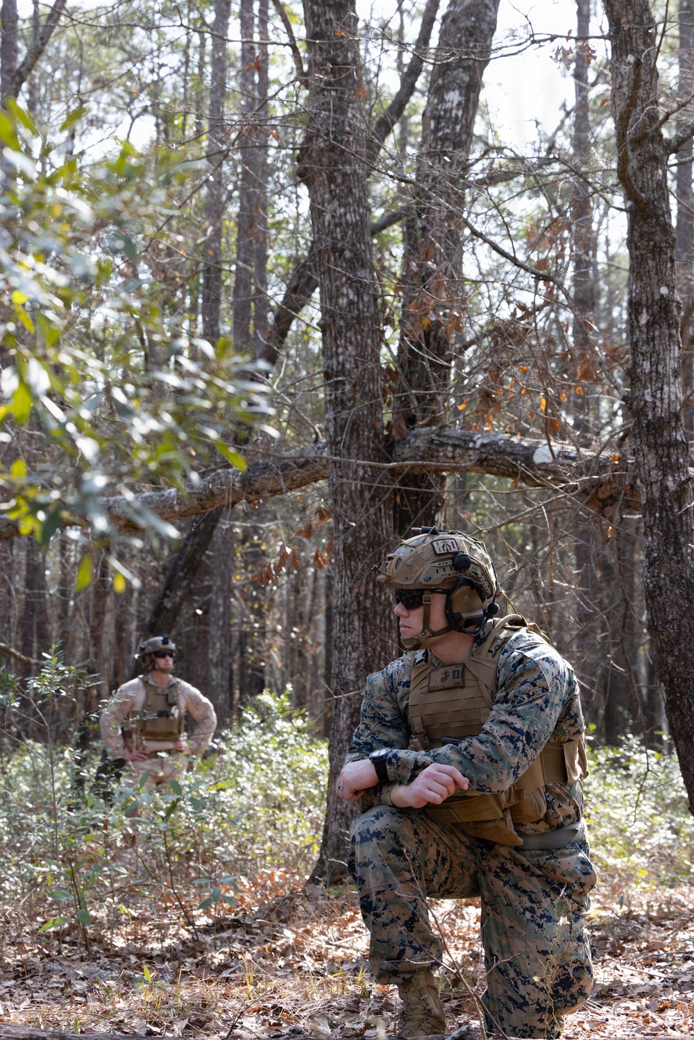 Marines with Advanced Infantry Training Company perform a Combined Arms Live Fire Exercise