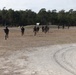 Marines with Advanced Infantry Training Company perform a Combined Arms Live Fire Exercise