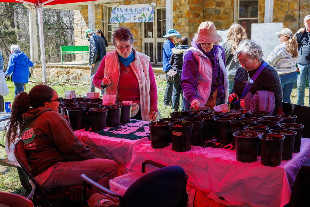 Prince William Conservation Alliance Hosts Annual Bluebell Festival