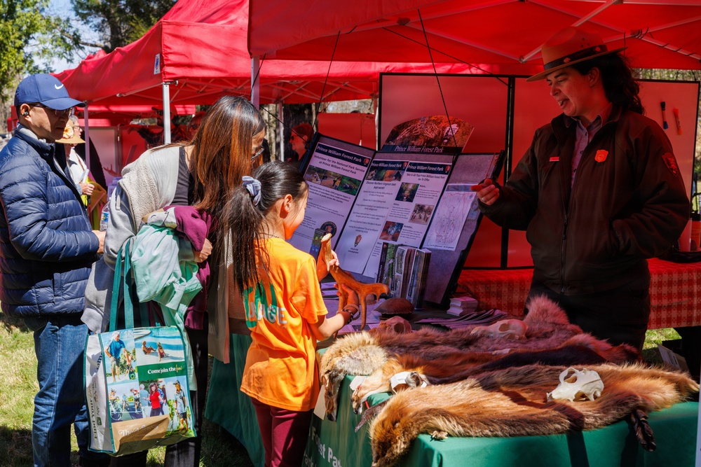 Prince William Conservation Alliance Hosts Annual Bluebell Festival