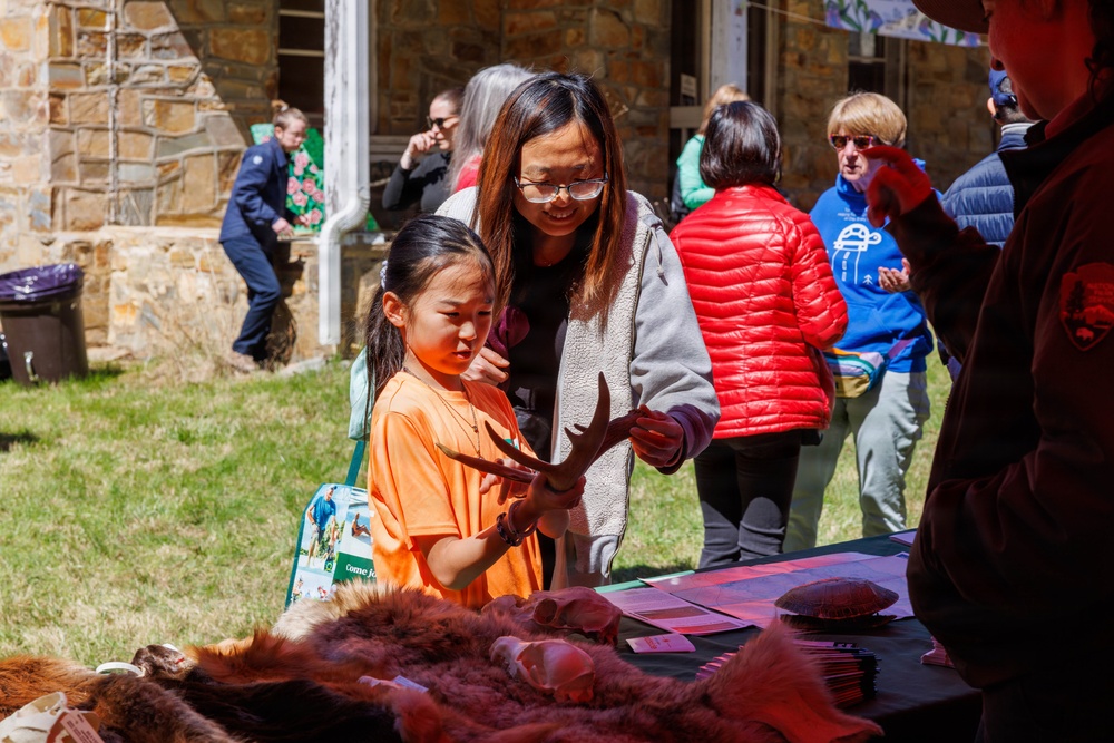 Prince William Conservation Alliance Hosts Annual Bluebell Festival