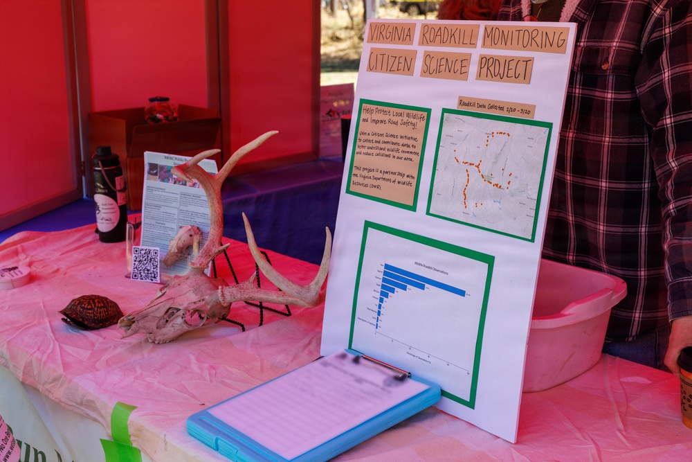 Prince William Conservation Alliance Hosts Annual Bluebell Festival