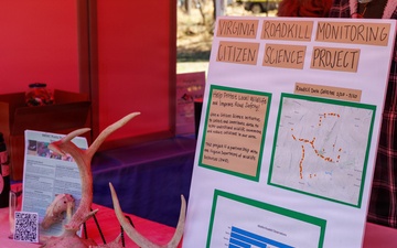 Prince William Conservation Alliance Hosts Annual Bluebell Festival