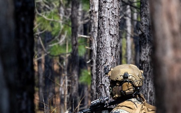Infantry Unit Leaders Course Combined Arms Live Fire Exercise