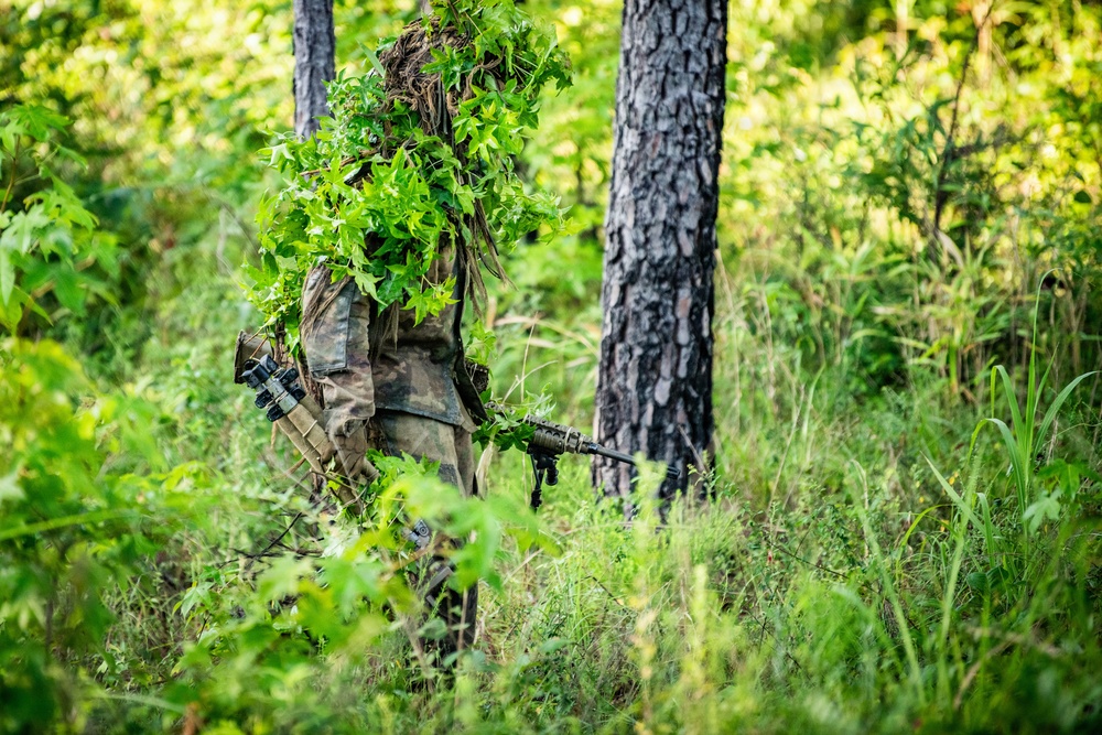 2025 07 18 Sniper Course Stalk Training