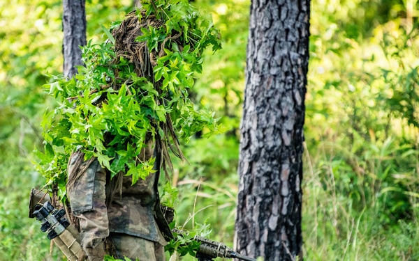 2025 07 18 Sniper Course Stalk Training