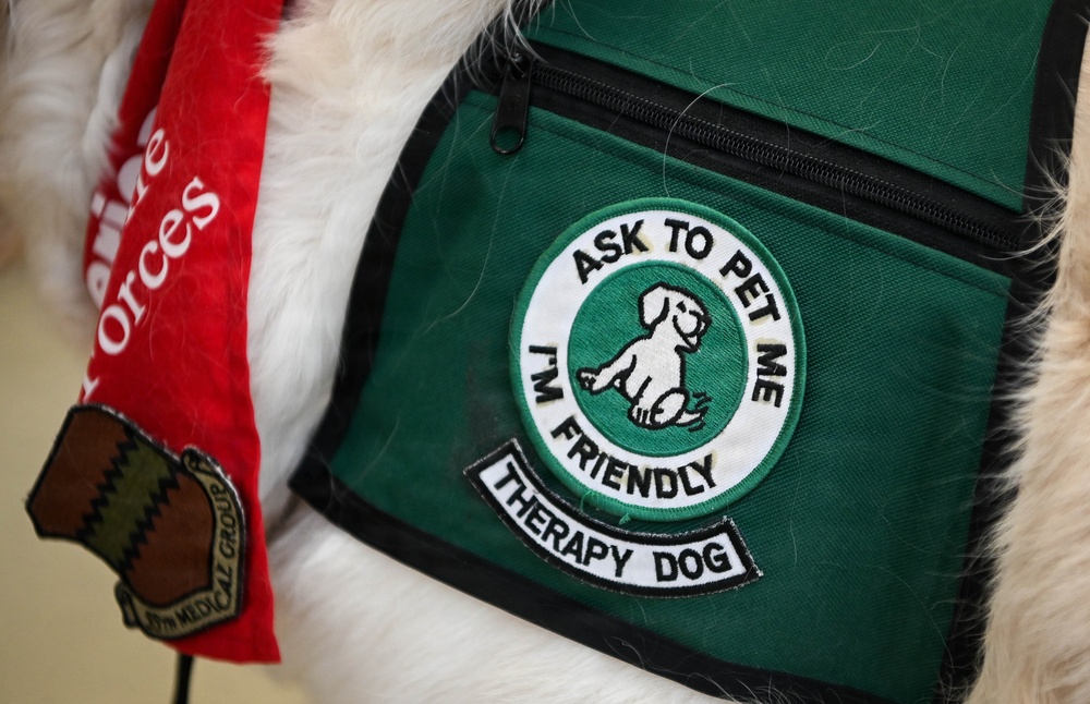 The four-legged therapist on duty