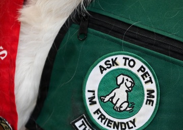 The four-legged therapist on duty